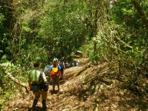 las-cuevas-research-station-belize-02