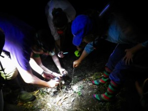 las-cuevas-research-station-belize-04