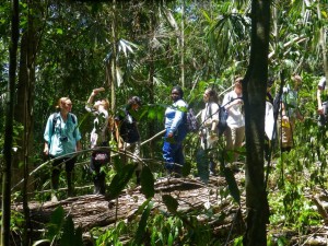 las-cuevas-research-station-belize